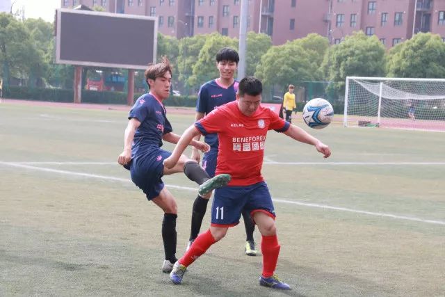 字母哥对家中鬣蜥困扰 表示或将搬到公寓